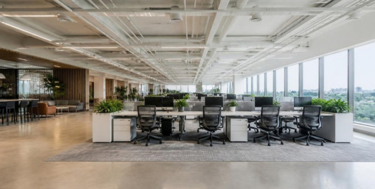 Corporativo