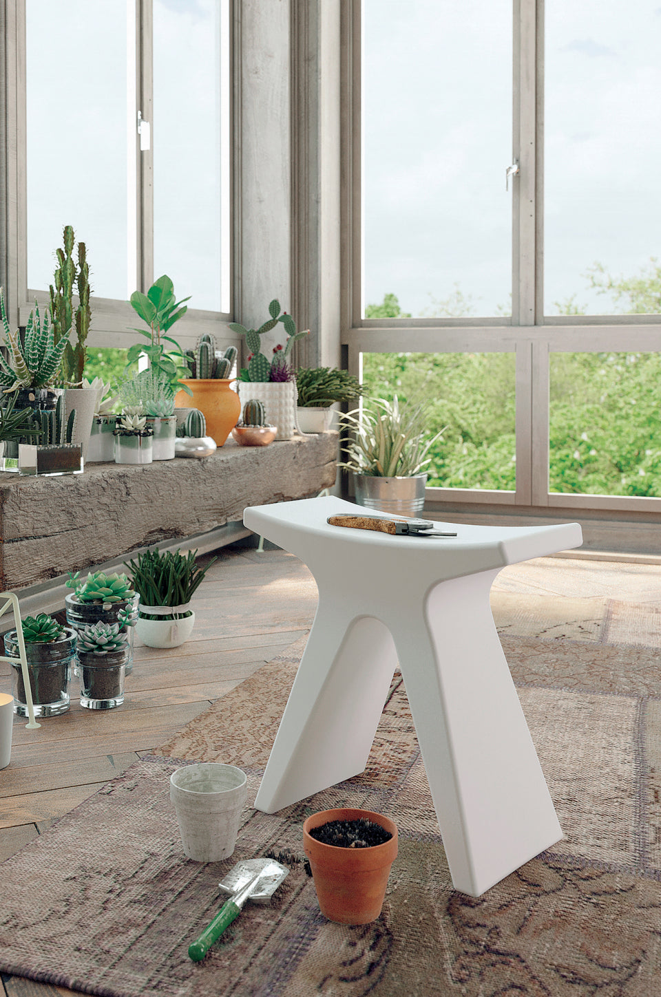 Pigreco – Ambiente